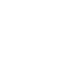 Dubai Shopping Festival